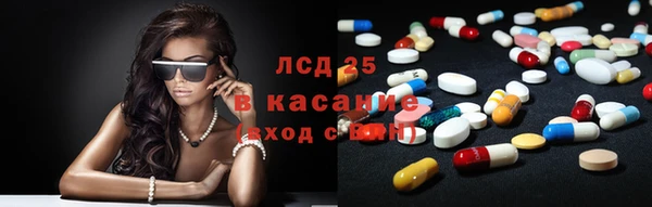 гашик Алексеевка