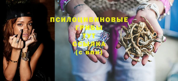 гашик Алексеевка
