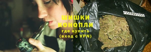 PSILOCYBIN Корсаков